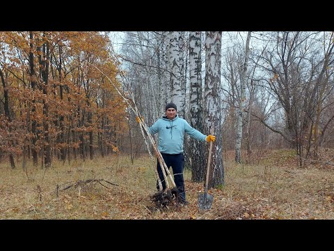 Видео: Надеюсь эти примутся. Их уже слышно.