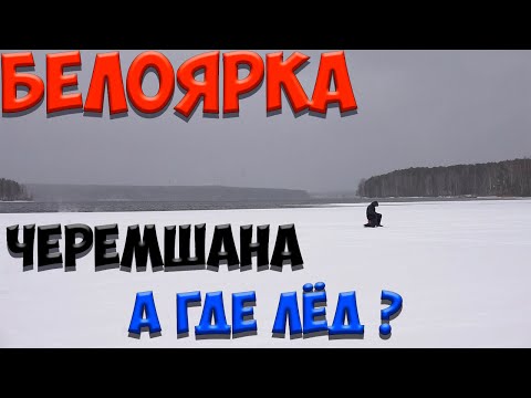 Видео: А где лёд? Зимняя рыбалка | ЧЕРЕМШАНА | Белоярское водохранилище