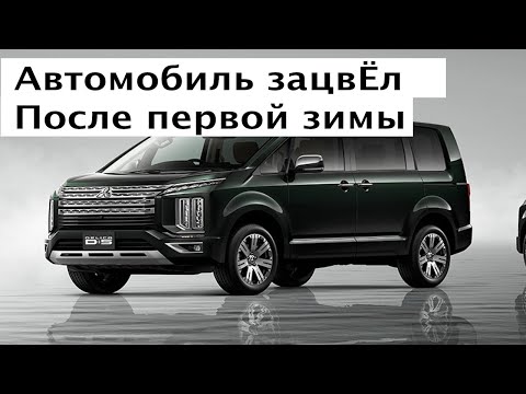 Видео: Mitsubishi Delica ПОСЛЕ ЗИМЫ ЗАЦВЕЛА