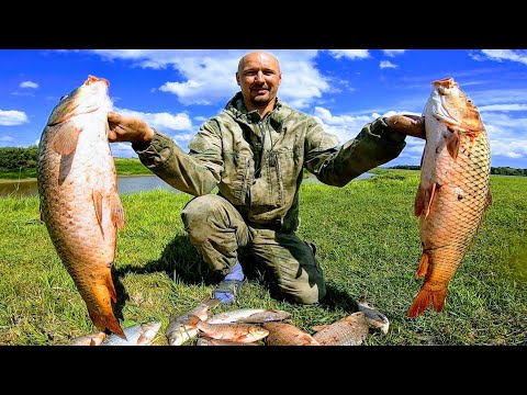 Видео: Рыбалка на паук с подводной камерой! Подводные съемки рыбалки. Сазан рыбалка. Рыбалка на сазана 2021