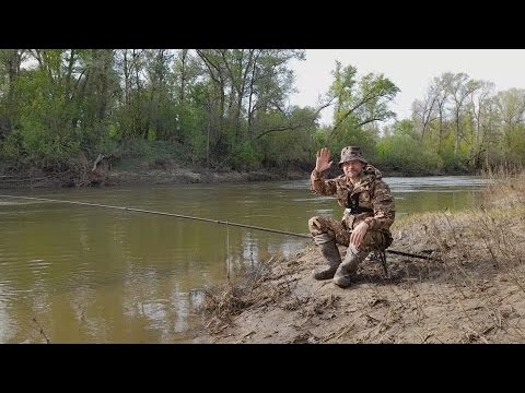 Видео: Клёвая Рыбалка на Реке. Много видов рыбы в одном месте. РЫБАЛКА НА ПОПЛАВОК ВЕСНОЙ.