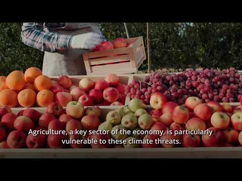 Видео: Как Кыргызстан адаптируется к изменениям климата: истории сообществ и устойчивых решений