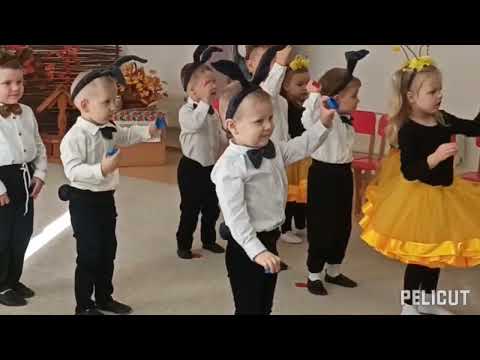 Видео: Осінні справи блжілок