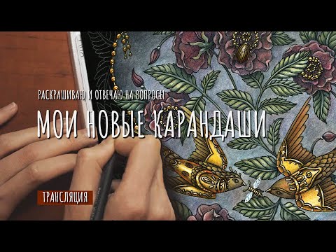 Видео: МОИ НОВЫЕ КАРАНДАШИ. ПЕРВЫЕ ВПЕЧАТЛЕНИЯ