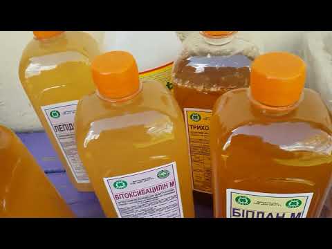 Видео: БІОПРЕПАРАТИ! ЯКІ ЕФЕКТИВНІ?