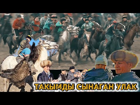 Видео: Данышман ажынын улагы.