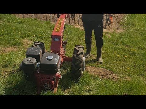 Видео: Мотоблок МТЗ! Бизнес по Беларуски!