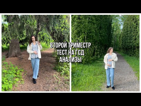 Видео: ЖИЗНЬ В КАЗАНИ/ ВТОРОЙ ТРИМЕСТР/ТЕСТ НА ГСД/ПЕРВЫЕ ШЕВЕЛЕНИЯ/ПРОБЛЕМЫ С АНАЛИЗАМИ