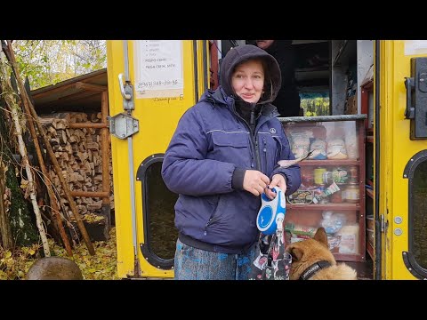Видео: Ведёрко с лягушками, снулая погода и непокорная древесина