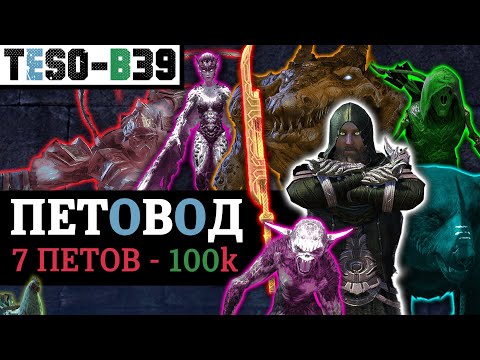 Видео: 🩸 КРОВОПЕТ - ПЕТОВОД на 7 питомцев и доты. 100к урона без триалов, мификов и чарописи. TESO(2025)
