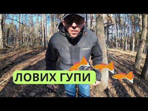Видео: ЛОВИХ ГУПИ НА УЛТРА ЛАЙТ