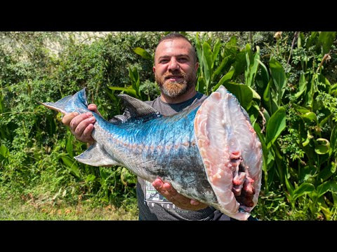 Видео: ОГРОМНАЯ БЕЛУГА ЗАКОПЧЕННАЯ В КОРОБКЕ! САМЫЙ ПРОСТОЙ СПОСОБ КОПЧЕНИЯ РЫБЫ