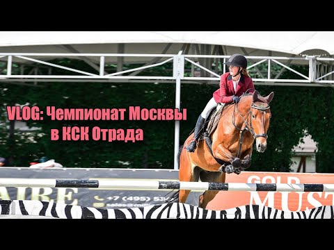 Видео: VLOG: Чемпионат Москвы в КСК Отрада