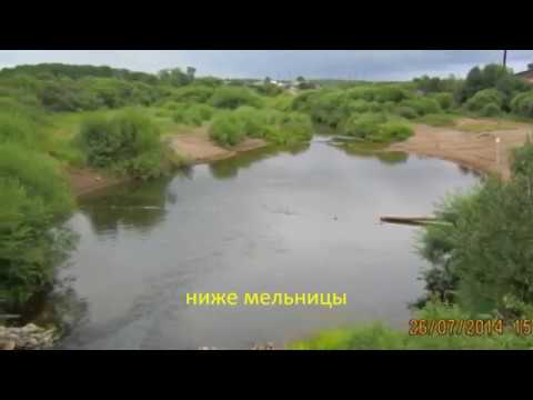 Видео: Даровской