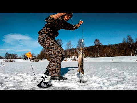 Видео: ЛОВЛЯ ЩУКИ НА КОСЫНКИ. ВЕСЕННЯЯ РЫБАЛКА НА КОСЫНКИ.