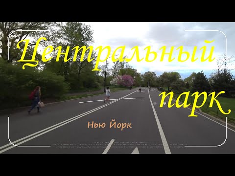 Видео: Центральный парк Нью Йорк обзор на вело