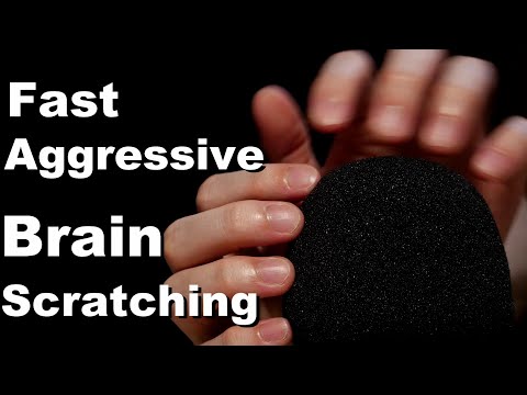 Видео: ACMP Быстрое агрессивное царапанье микрофоном Царапанье мозга Без разговоров
