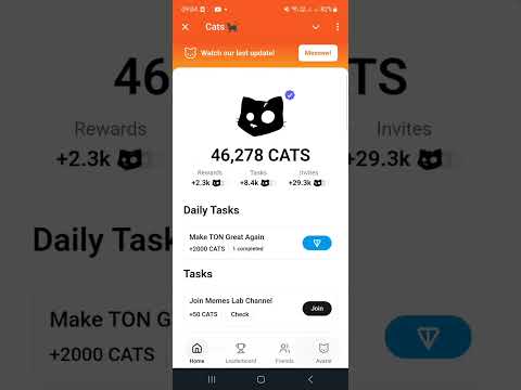 Видео: CATS в Telegram - Как купить OG Pass в кэтс + Новое Обновление