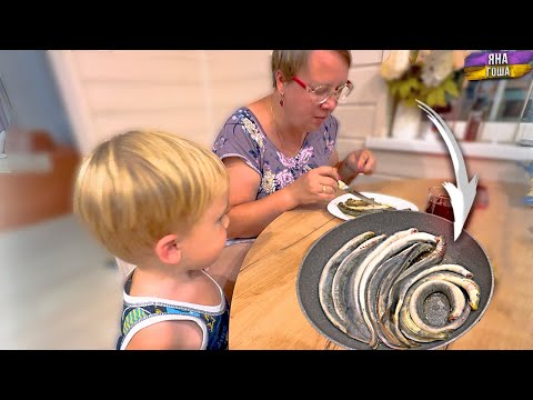 Видео: Мы поели змей! Это возможно только в Петербурге! Миноги. Съездили к мамам и к сыну. День 07-11