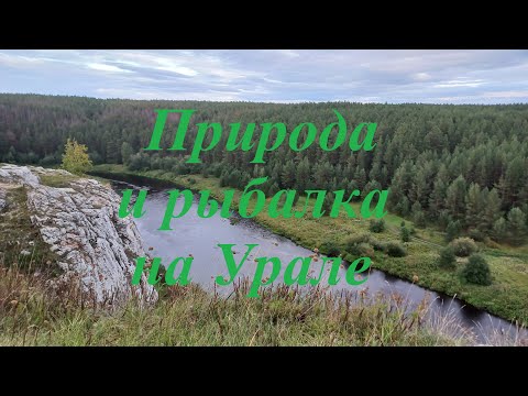 Видео: Рыбалка с друзьями. Природа Урала! Готовим на природе!