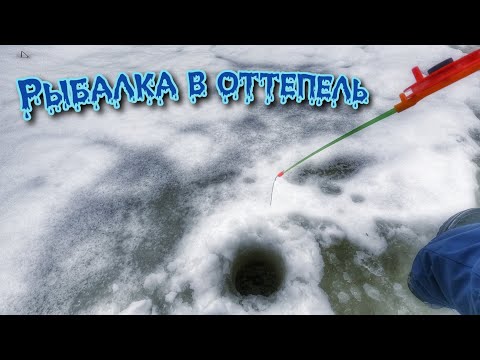 Видео: КРУПНЫЙ ОКУНЬ С ПЕРВОЙ ЛУНКИ!Ловил Плотву,а наловил Окуня)