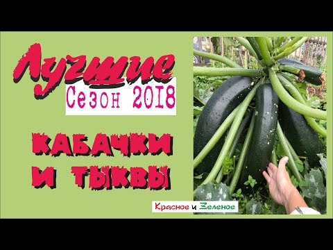 Видео: Кабачки и тыквы. Лучшее. Проверено Сибирью!