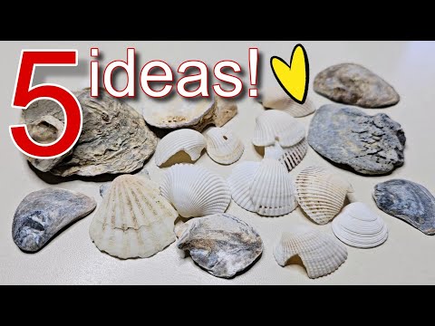 Видео: 5 отличных идей, которые можно сделать из ракушек ♻️🥰 Посмотрите, что я сделала?
