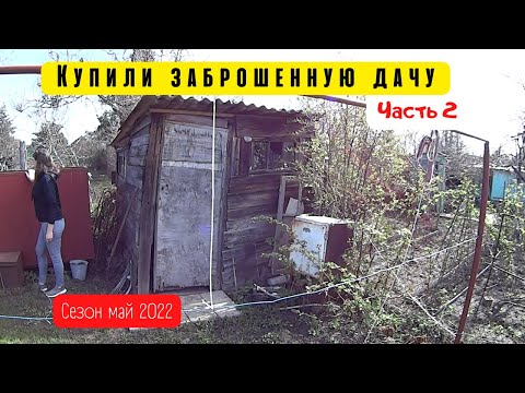 Видео: Купили заброшенную дачу  Посадка рассады, покупки, обед