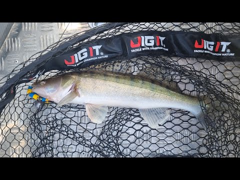 Видео: Рыбалка с лодки. Сильный ветер. Электро мотор sea pro. Весна радует поклевками!