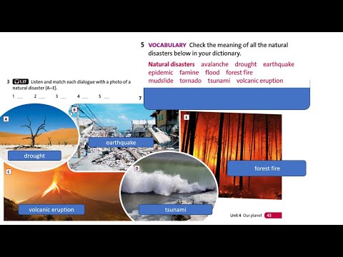 Видео: English. Английский язык. Уровень pre-Intermediate (A2+). Онлайн урок. 30.9.51