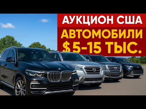 Видео: АУКЦИОН В ТАМПЕ. ФЛОРИДА! ЕСТЬ НА ЧТО ПОСМОТРЕТЬ И ИЗ ЧЕГО ВЫБРАТЬ