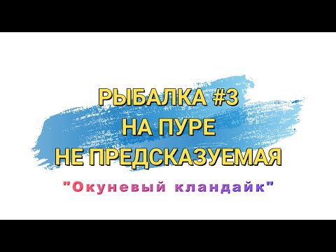 Видео: Не предсказуемая рыбалка на реке Пур.