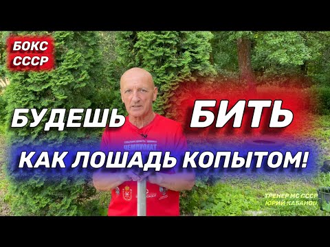 Видео: Главный тренажер нокаутирующих ударов от МС СССР по боксу.