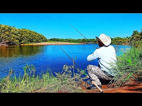 Видео: РЫБАЛКА НА ДВЕ ДОНКИ.... НАЛОВИЛ ПРИГОТОВИЛ СУДАКА .FISHING IN KAZAKHSTAN.