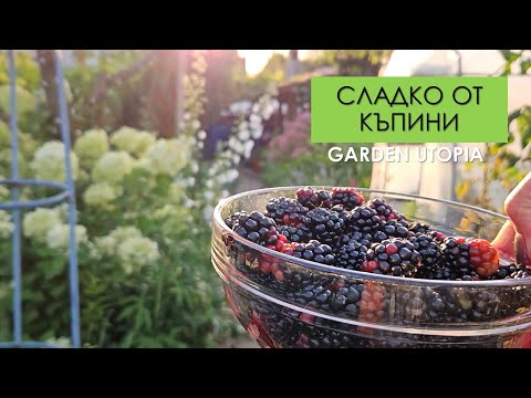 Видео: Домашно СЛАДКО от КЪПИНИ