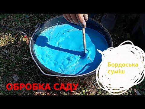 Видео: Обробка саду бордоською сумішшю. Як приготувати розчин правильно, і не пошкодити дерева.