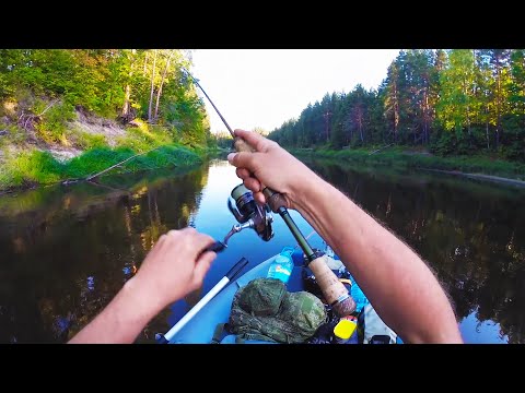 Видео: В ЭТОЙ РЕКЕ ПОЛНО РЫБЫ!!! Вот куда надо ехать на рыбалку!!!