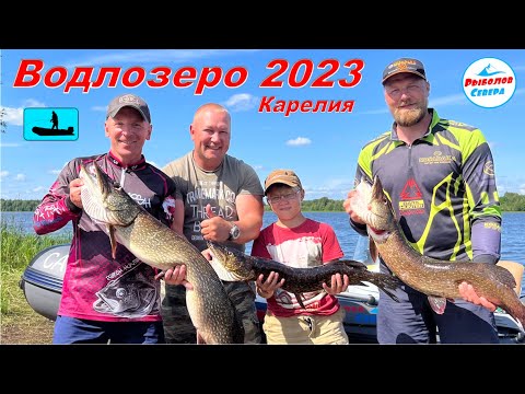 Видео: ✅ ОГРОМНЫЕ СУДАКИ И ЩУКИ КАРЕЛИИ 🎣🐟l ВОДЛОЗЕРО 2023 #Рыболов_Севера #судак #окунь