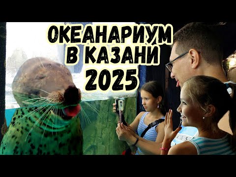 Видео: Казань. День первый. Океанариум
