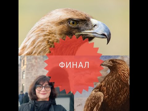 Видео: ANCHOR MAIA 01229 "3D Орёл (3D Eagle)"финал #ANCHOR MAIA #3D Eagle