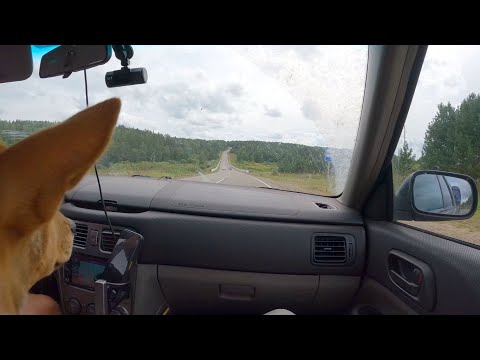 Видео: Ангара 2023. Пятый день