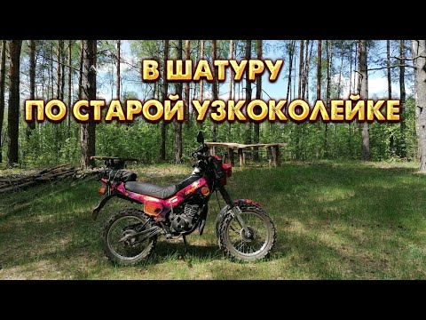 Видео: В Шатуру по старой узкоколейке на мопеде ЗиД 50 Пилот