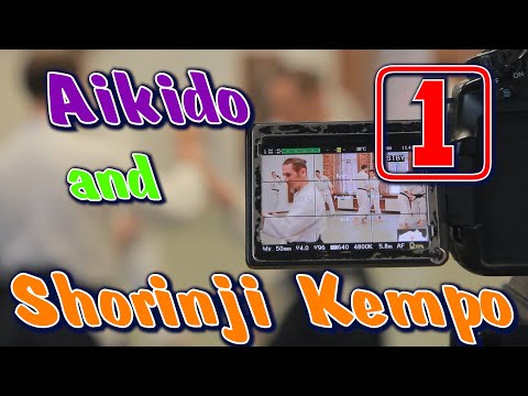 Видео: Совместные тренировки Айкидо и Сёриндзи Кэмпо. Рокитский А.Д. 5 Дан.