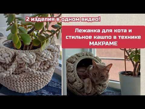 Видео: Лежанка-кокон для кота и стильное кашпо в технике МАКРАМЕ. Два изделия в одном видео!!