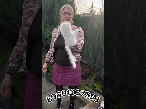 Видео: 8 ноября 2025 г.