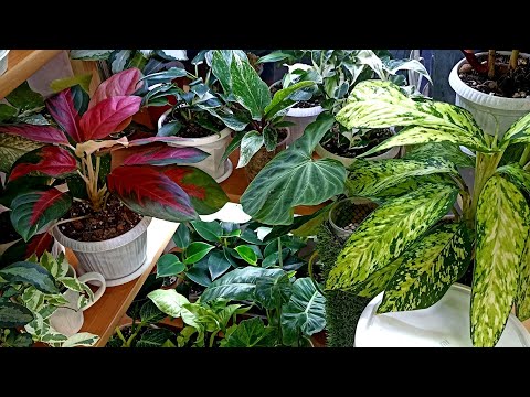 Видео: ОБЗОР моего уголка😊( анонс  излишек)