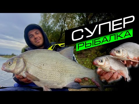 Видео: ФИДЕРНАЯ ЛОВЛЯ НА РЕКЕ / КАК ПОЙМАТЬ МНОГО РЫБЫ / FROS FISHING