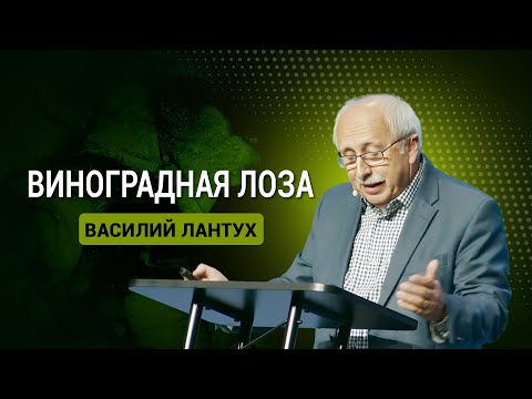 Видео: Василий Лантух - "Виноградная лоза"