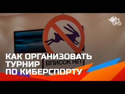 Видео: Как организовать турнир // Собственный опыт организации турнира по киберспорту 16+