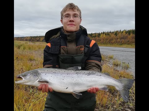 Видео: ПЯТЬ ДНЕЙ НА ВАРЗУГЕ  ЧАСТЬ 2  ЦАРЬ РЫБА!